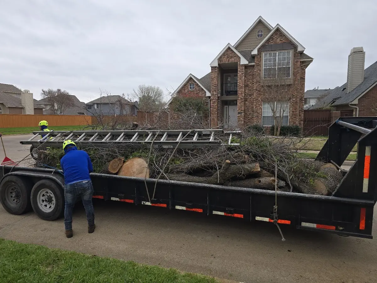 Expert Tree Removal with proper safety equipment in Sarah